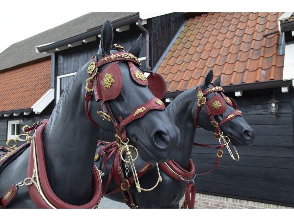 VAN der Wiel Harness Horses
